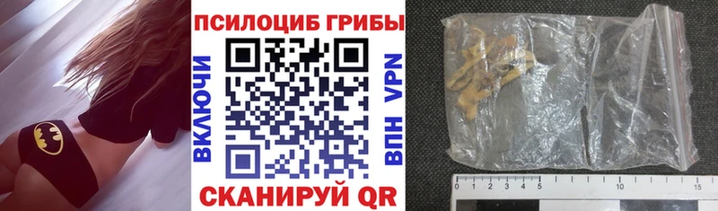 mega рабочий сайт  цены наркотик  Петровск  Галлюциногенные грибы GOLDEN TEACHER 