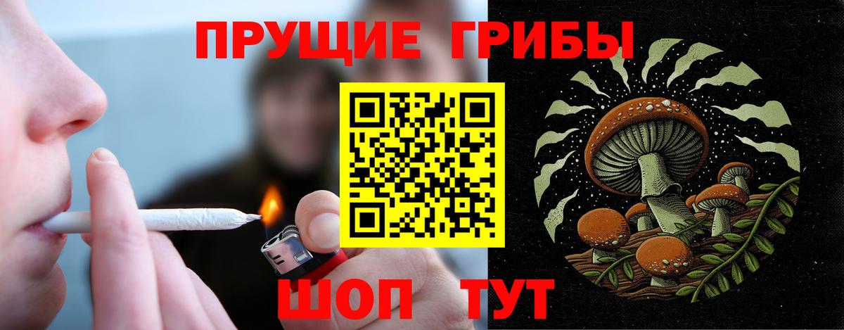 Петровск  Галлюциногенные грибы ЛСД  наркота  Вход с VPN  Галлюциногенные грибы Cubensis 